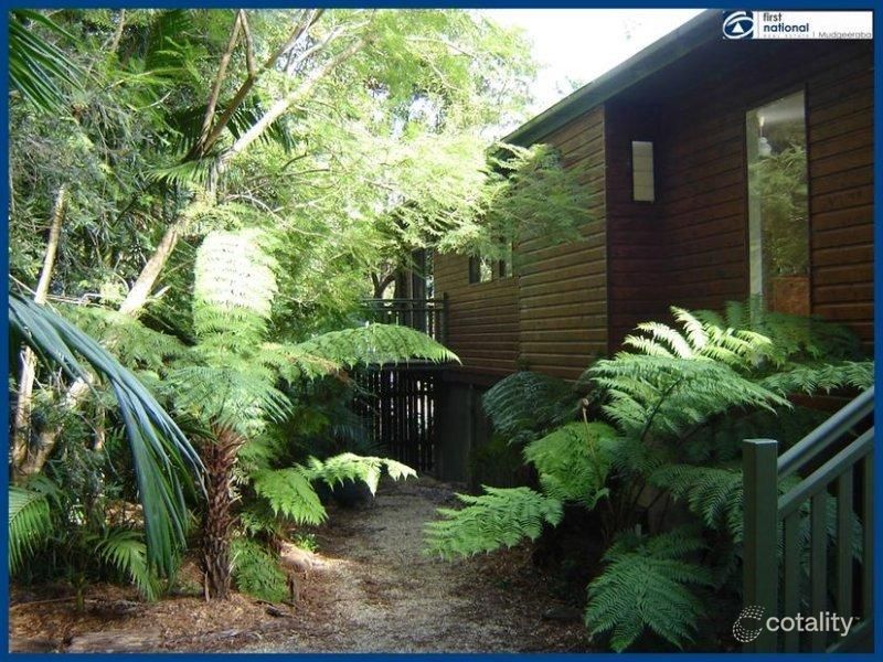 2204 Springbrook Rd, Springbrook, QLD 4213