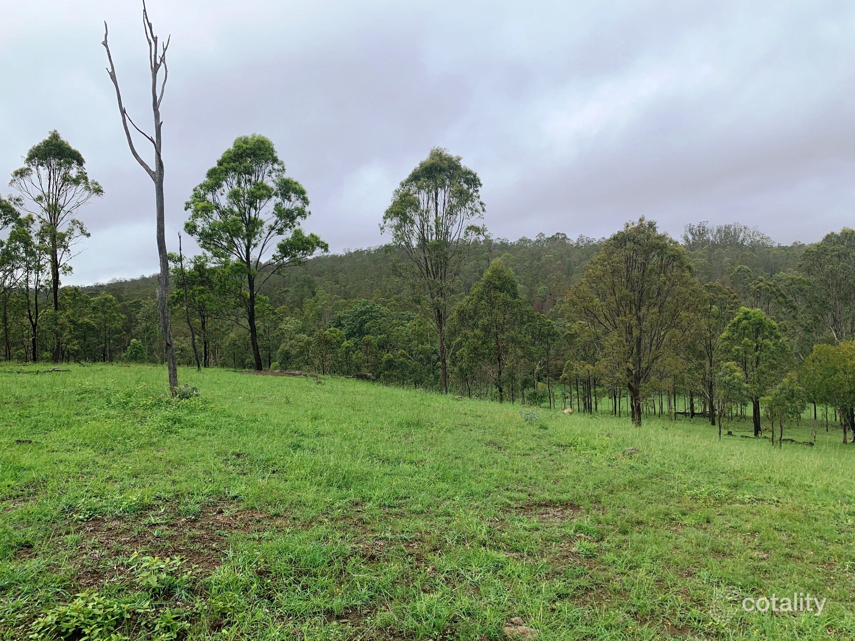 275 Mount Stanley Rd, Bullcamp, QLD 4615