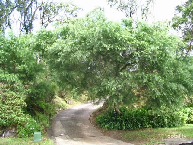 9 Gazania St, Faulconbridge, NSW 2776