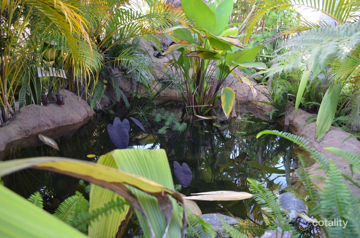 3 Tilse St, Mareeba, QLD 4880