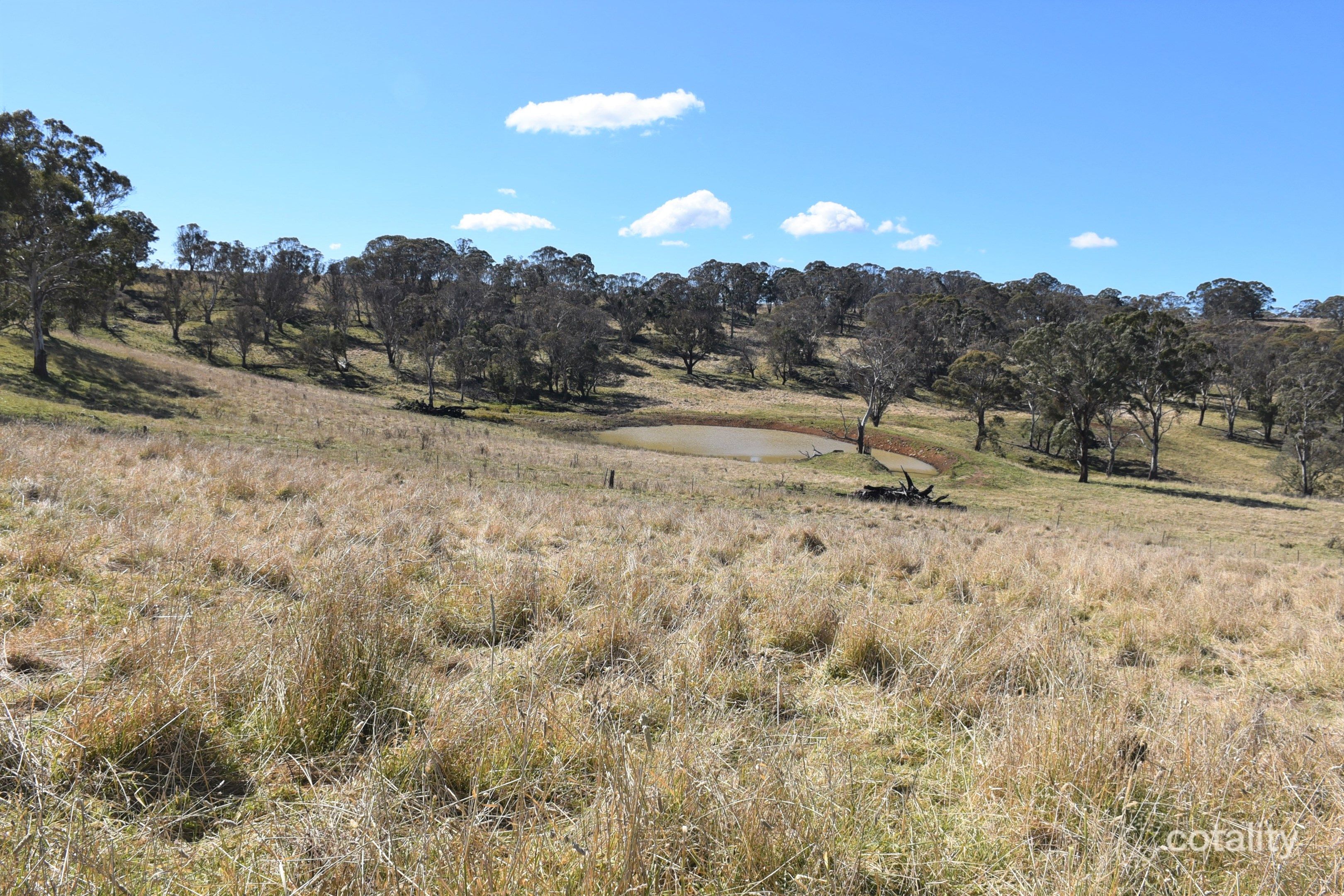 489 Inn Rd, Ben Lomond, NSW 2365