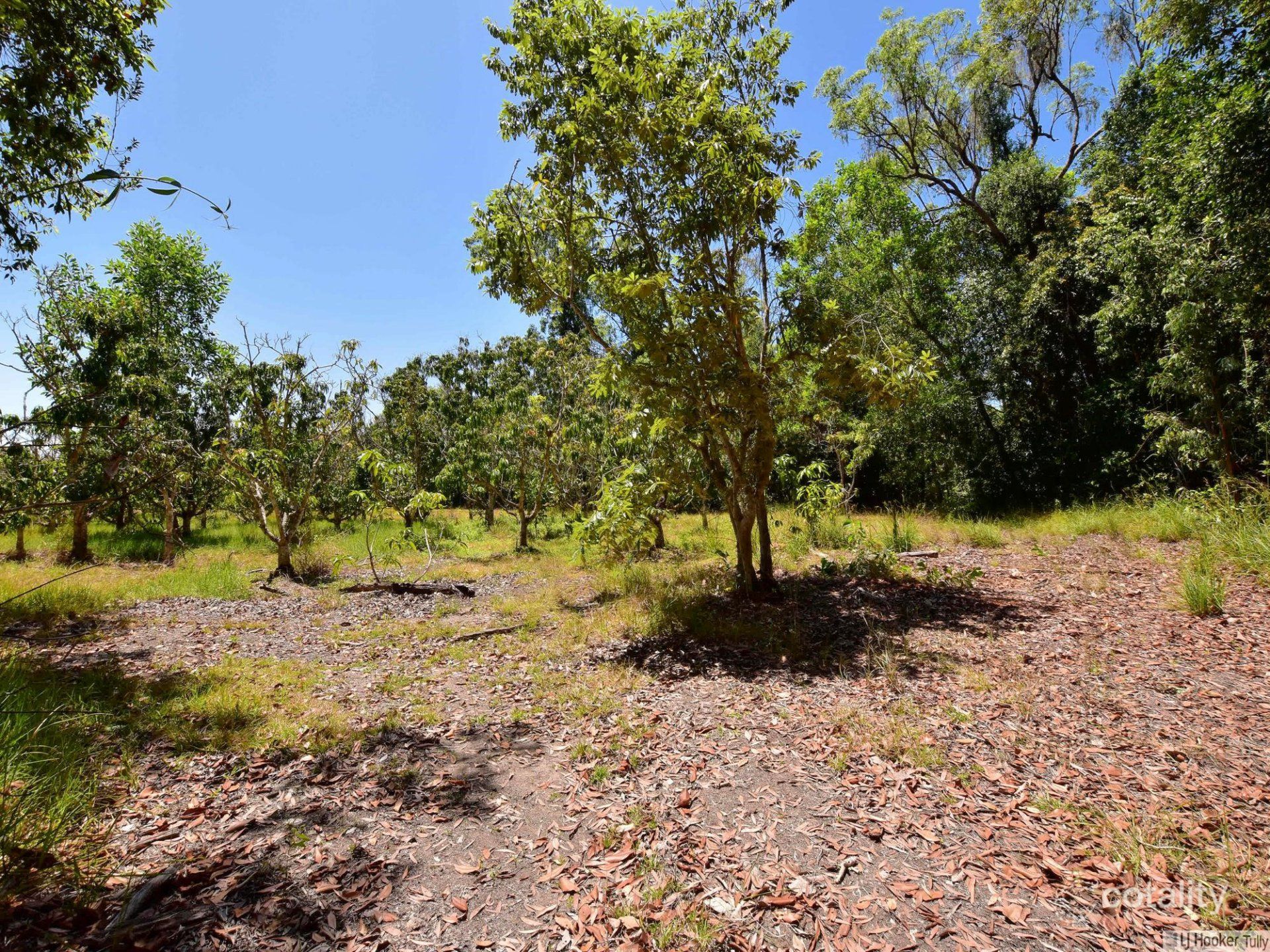 56178 Bruce Hwy, Kennedy, QLD 4816