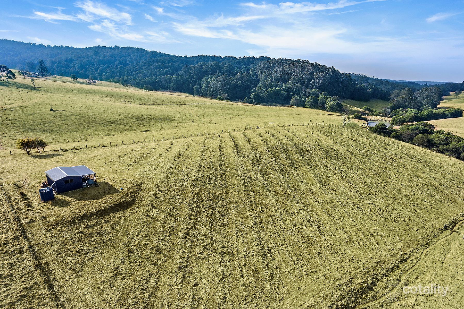 360 Schultz Rd, Billys Creek, NSW 2453