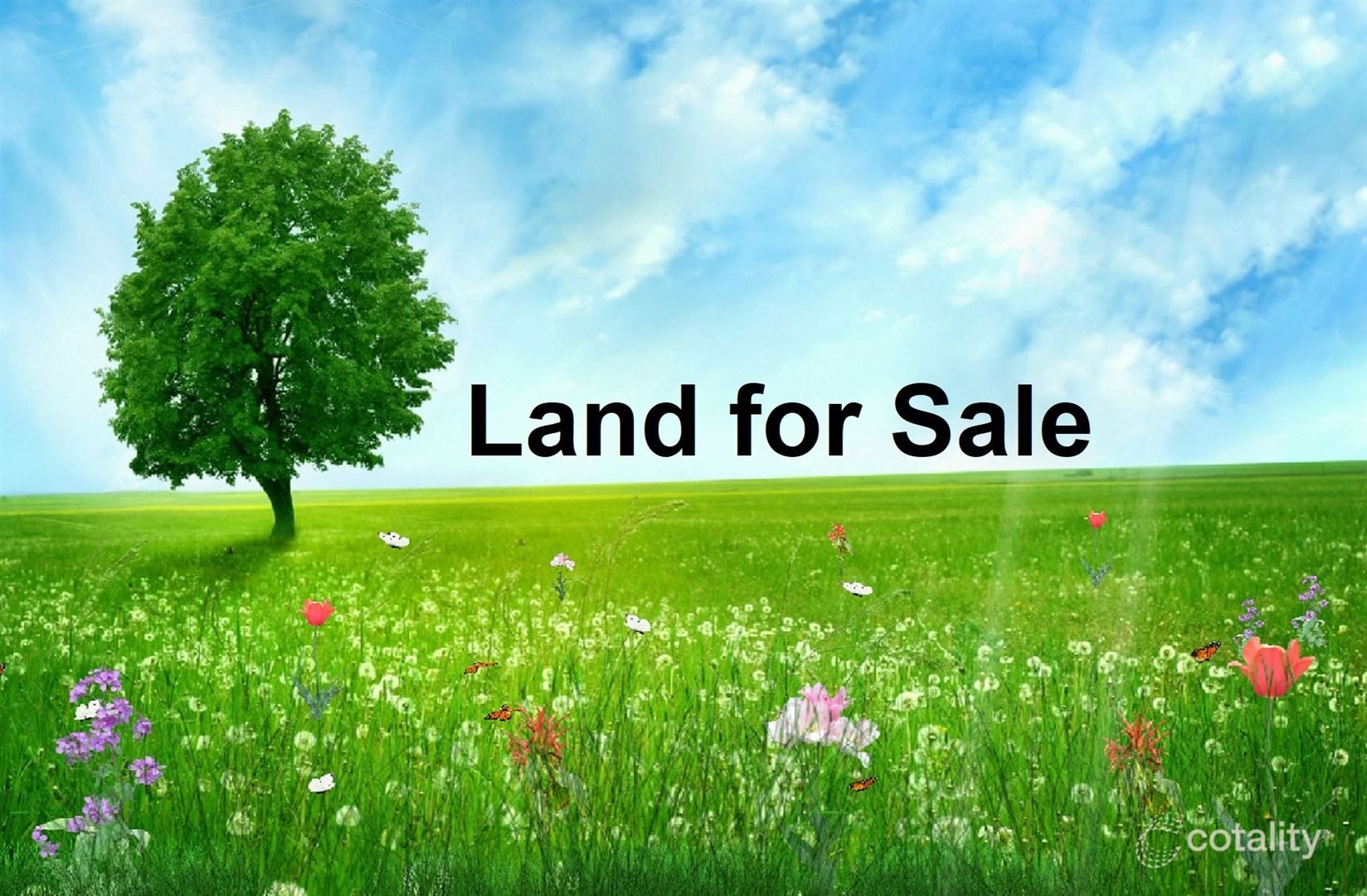 9 Mccardell St, Taylor, ACT 2913