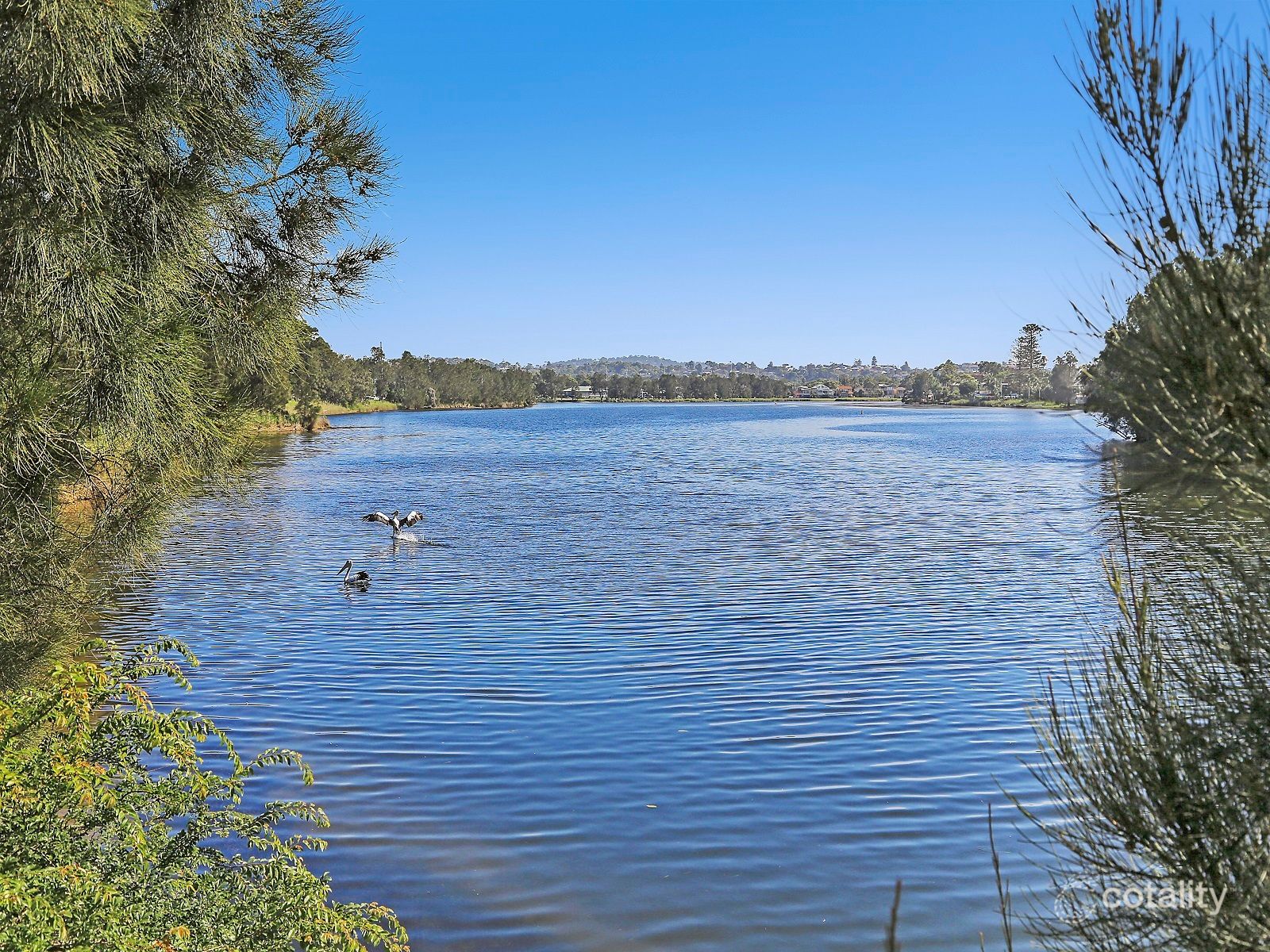 13/1271-1273 Pittwater Rd, Narrabeen, NSW 2101