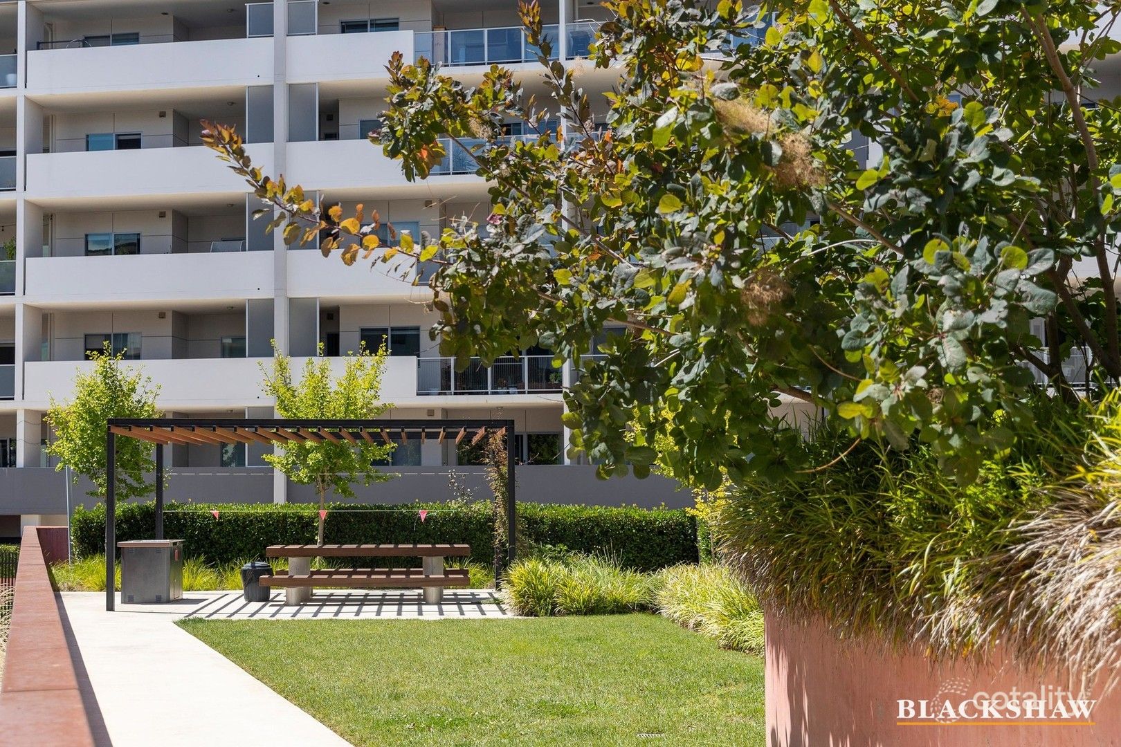 163/45 Catalano St, Wright, ACT 2611