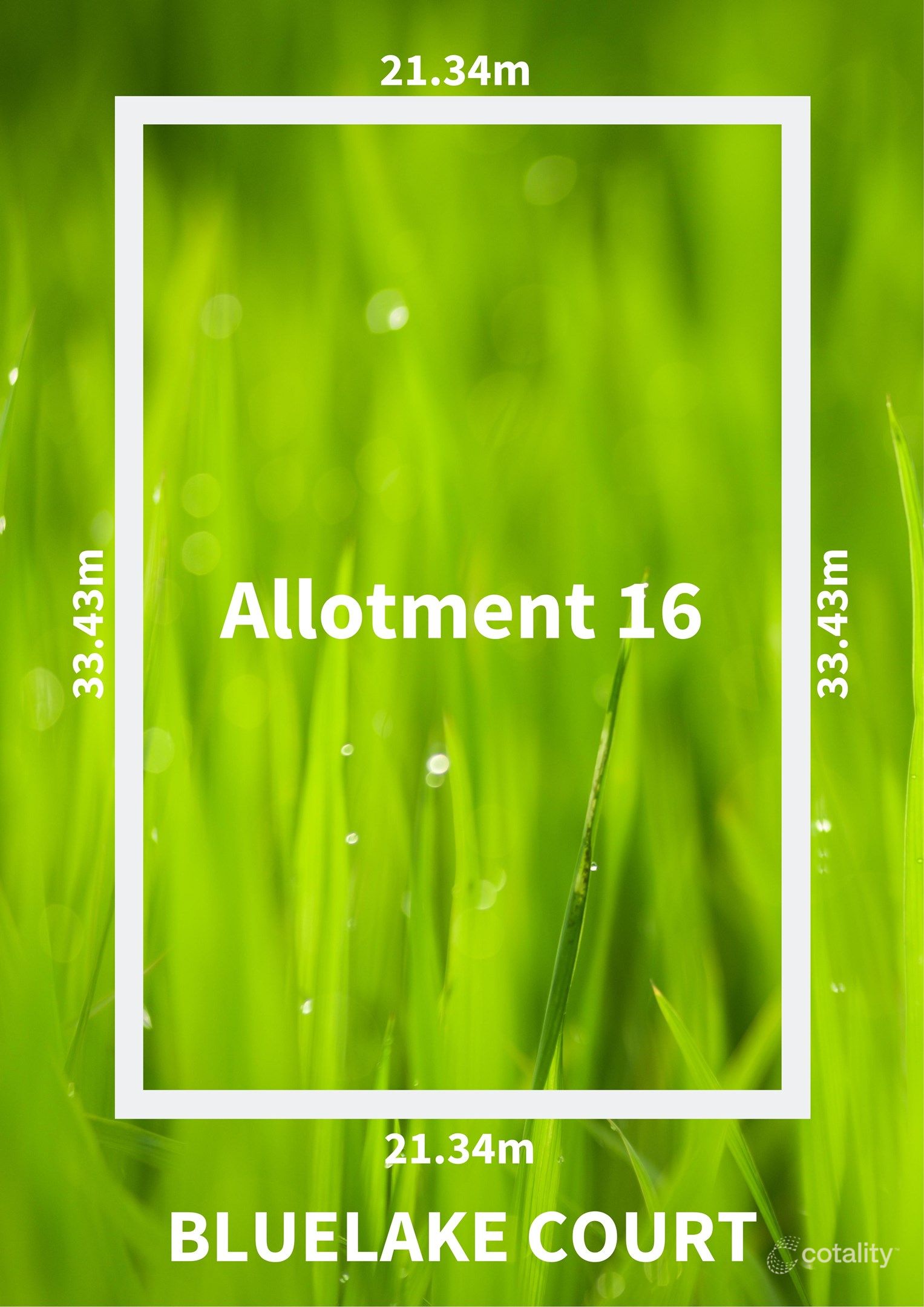 16 Bluelake Ct, Tennyson, SA 5022