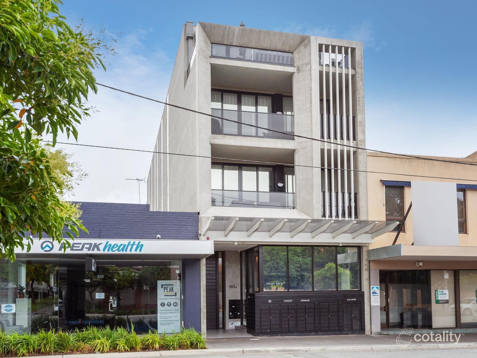 6/103a Gardenvale Rd, Gardenvale, VIC 3185