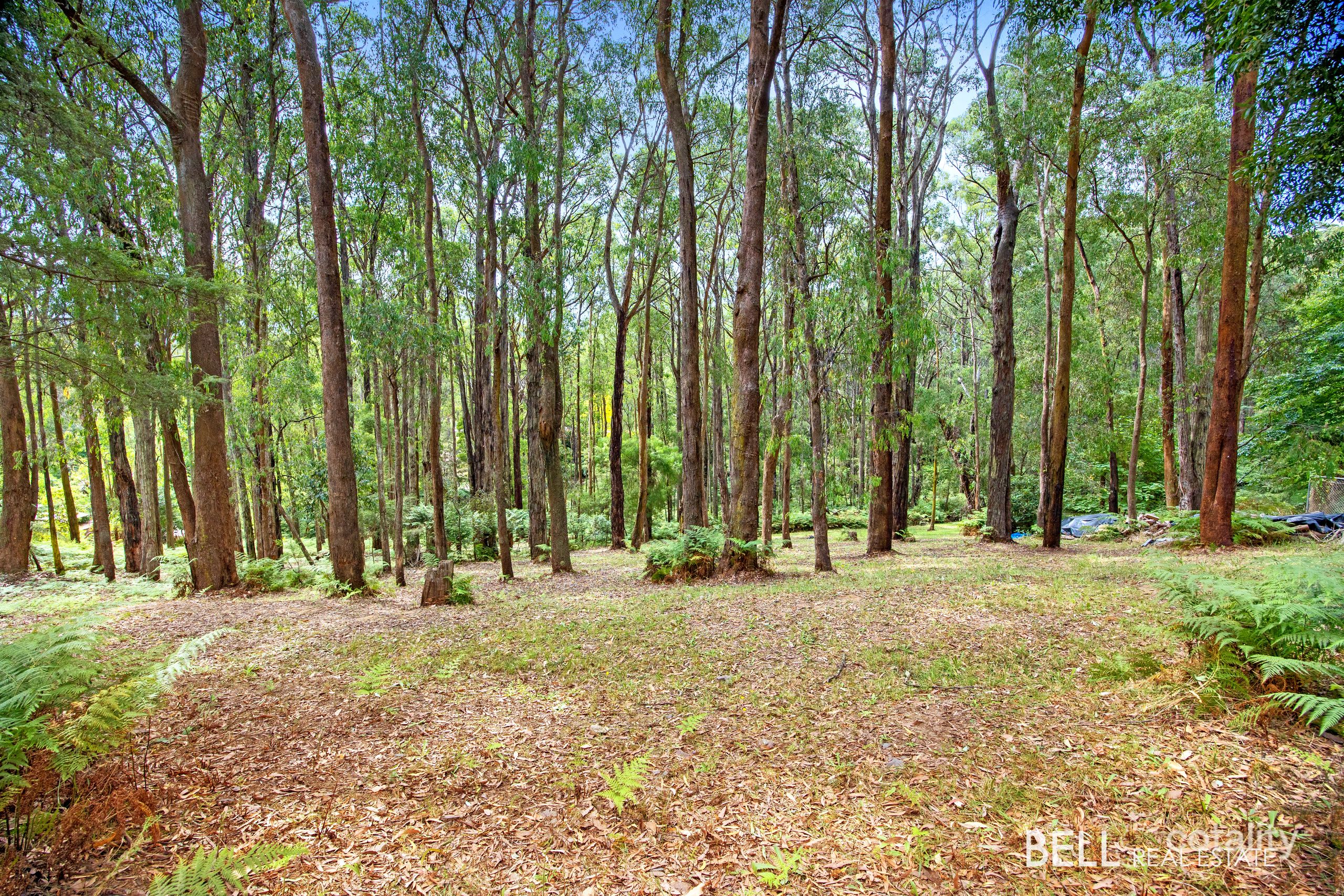 15 Lyrebird Ave, East Warburton, VIC 3799