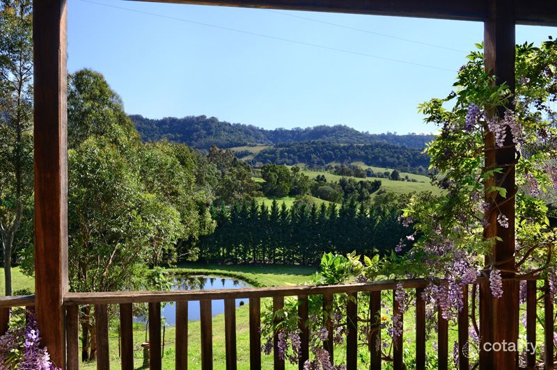 308 Strongs Rd, Jaspers Brush, NSW 2535