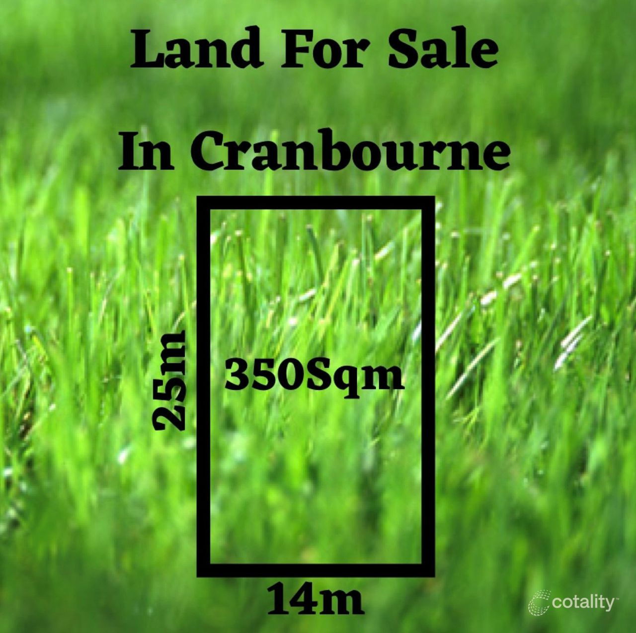 39 Ryder St, Cranbourne, VIC 3977