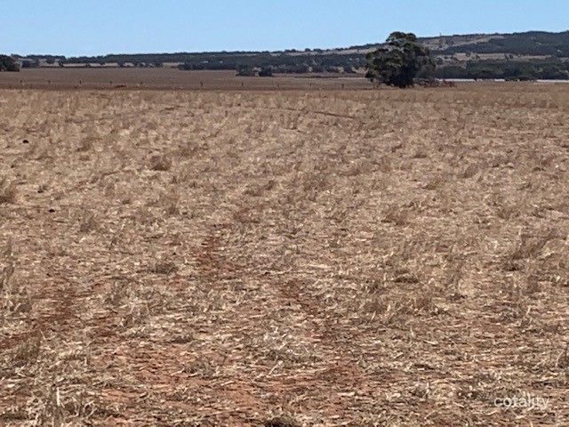 Lot 108 Neindorf Rd, Robertstown, SA 5381