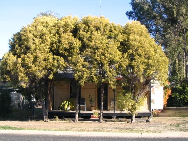 92 Callandoon St, Goondiwindi, QLD 4390