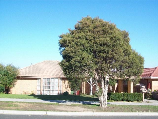 25 Preston Ave, Endeavour Hills, VIC 3802