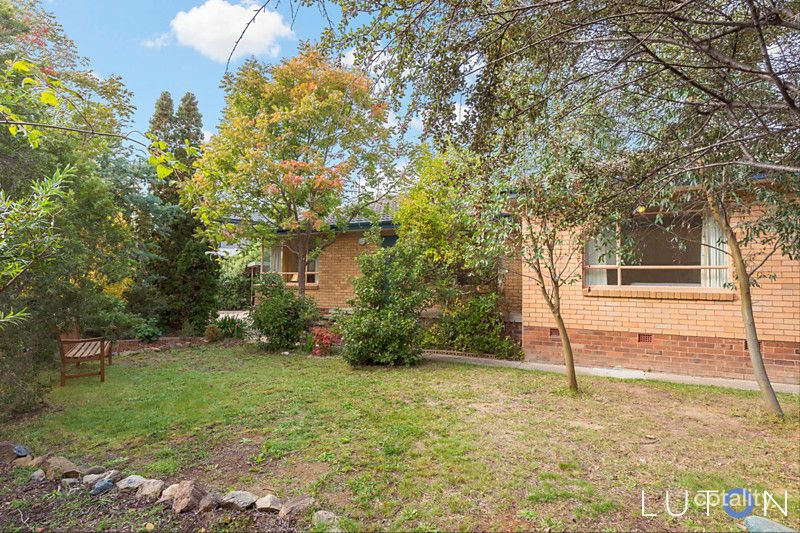 35 Robertson St, Curtin, ACT 2605