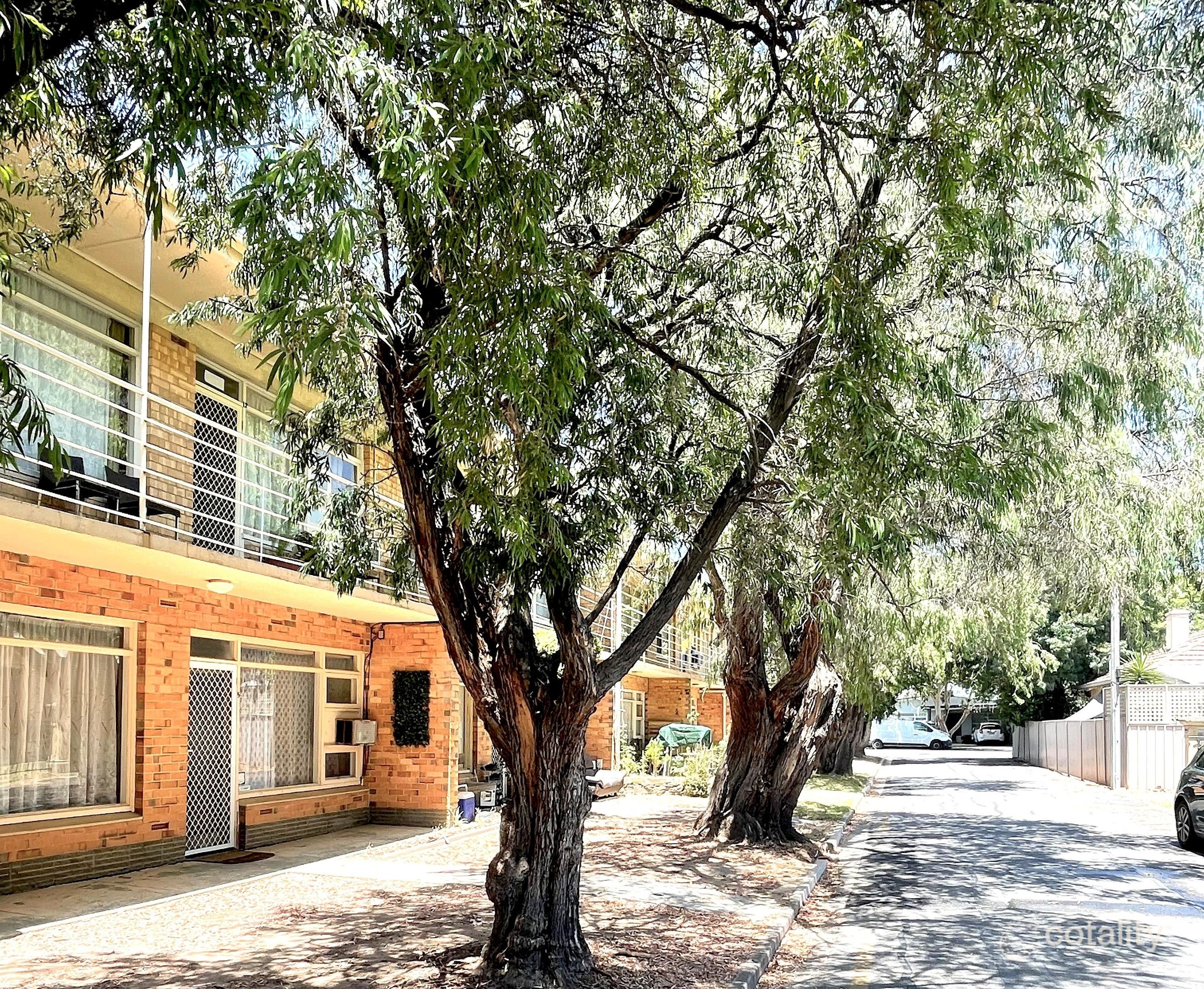 6/17 Macfarlane St, Glenelg North, SA 5045