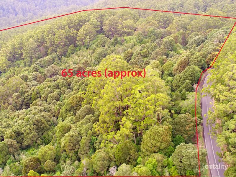 1170 Skenes Creek Rd, Tanybryn, VIC 3249