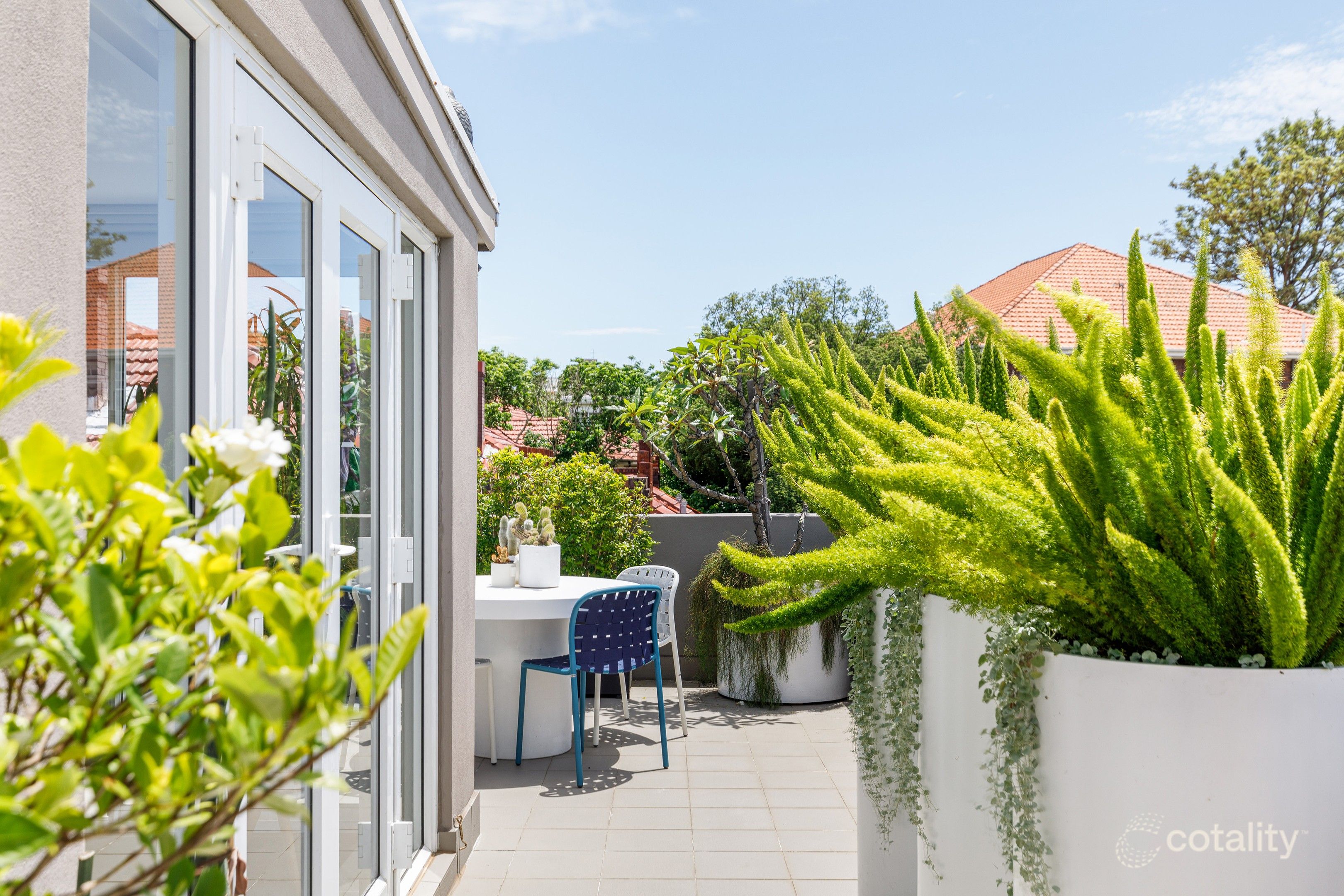 13/164 New South Head Rd, Edgecliff, NSW 2027