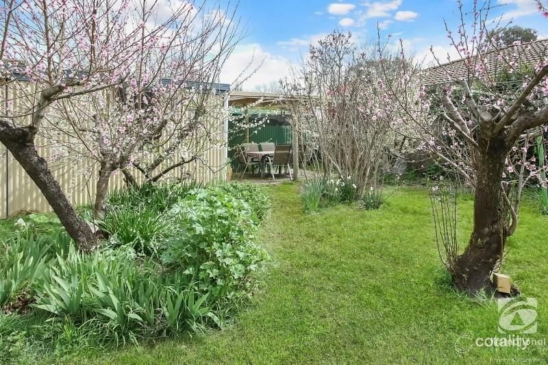 7 Wells St, Beechworth, VIC 3747