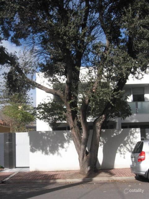 16 Saltram Rd, Glenelg, SA 5045