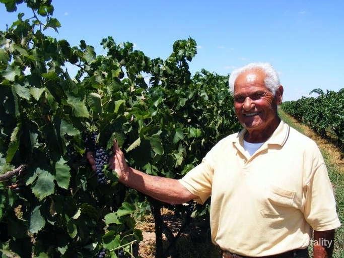 5 Swainston Rd, Shepparton East, VIC 3631