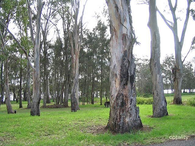11 Albert St, Bonnells Bay, NSW 2264