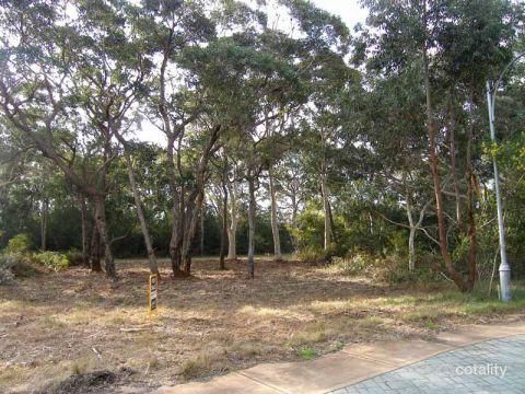6 Silkwood Walk, Callala Beach, NSW 2540