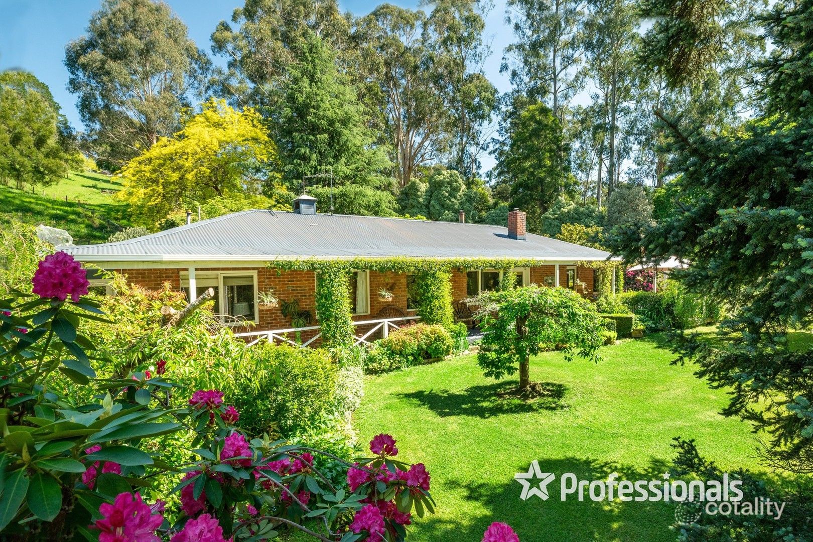 20 Daveys Lane, Hoddles Creek, VIC 3139