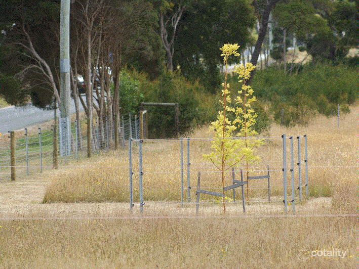 356 Clarence Point Rd, Clarence Point, TAS 7270