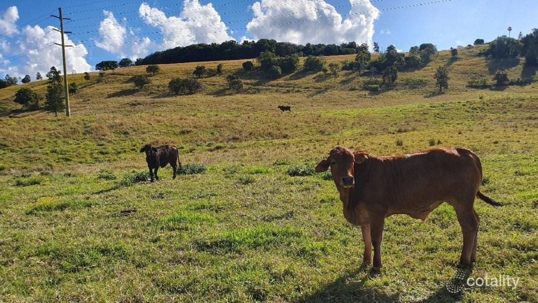 92 Hewitt Rd, Booerie Creek, NSW 2480