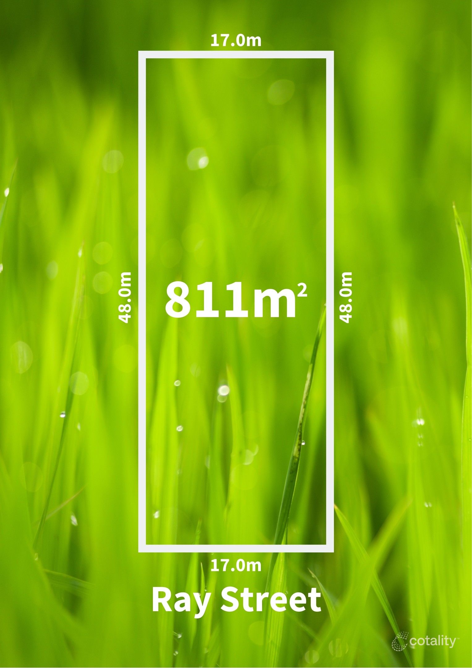 19 Ray St, South Plympton, SA 5038