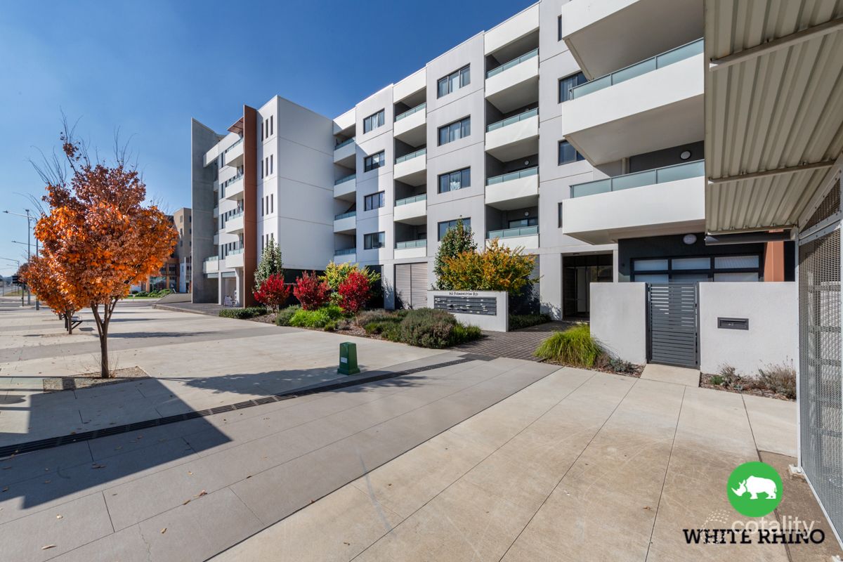 59/162 Flemington Rd, Harrison, ACT 2914