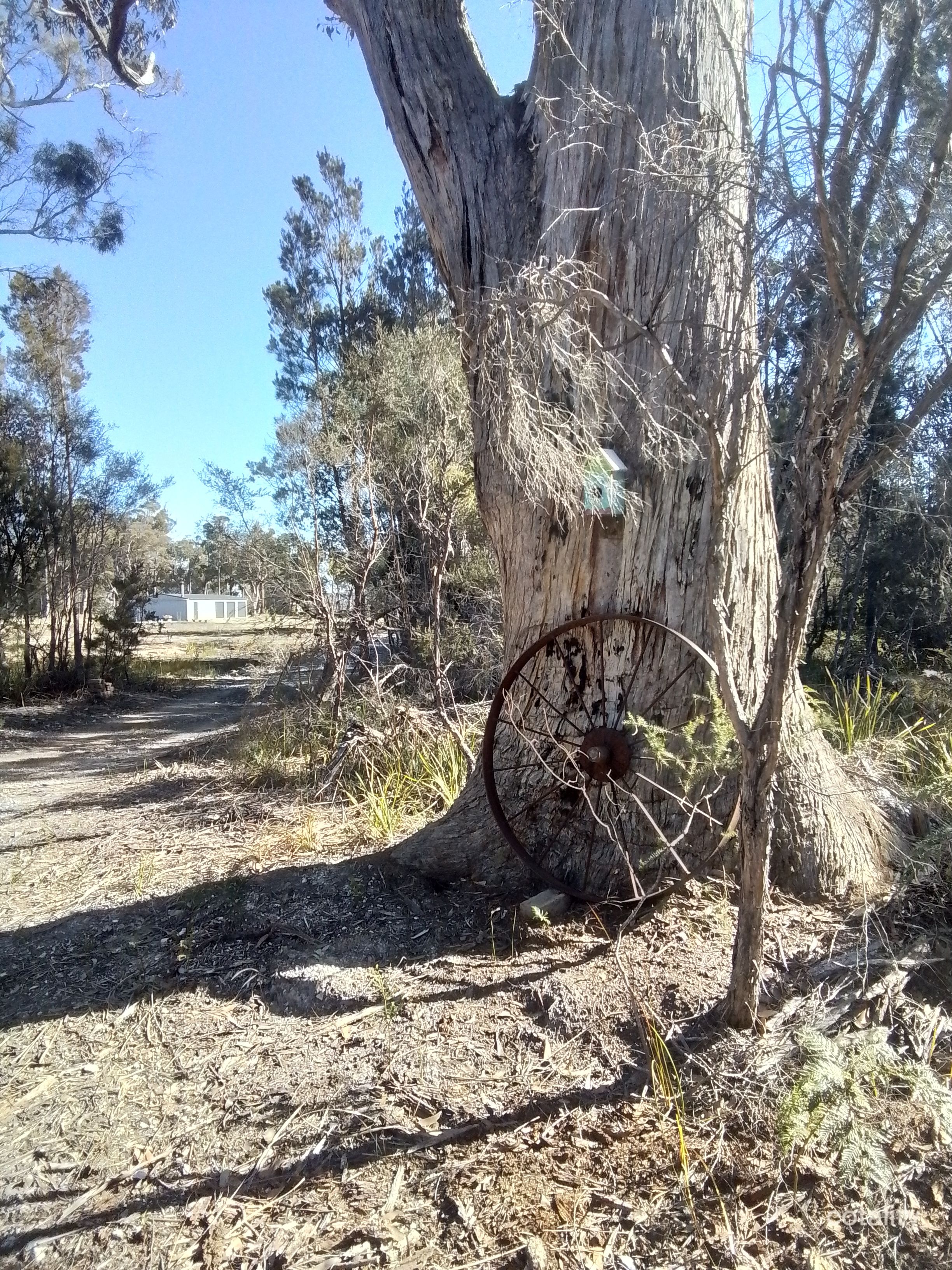 402 Badger Head Rd, Badger Head, TAS 7270