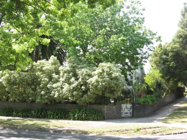 203 Mont Albert Rd, Surrey Hills, VIC 3127