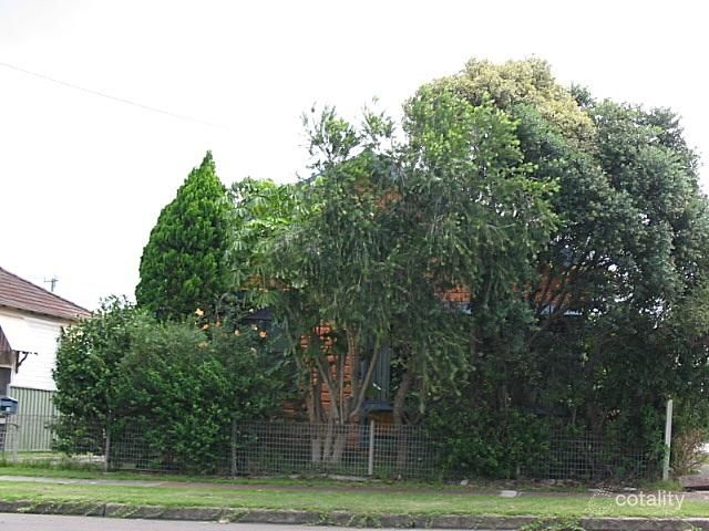 20 Werribi St, Mayfield West, NSW 2304