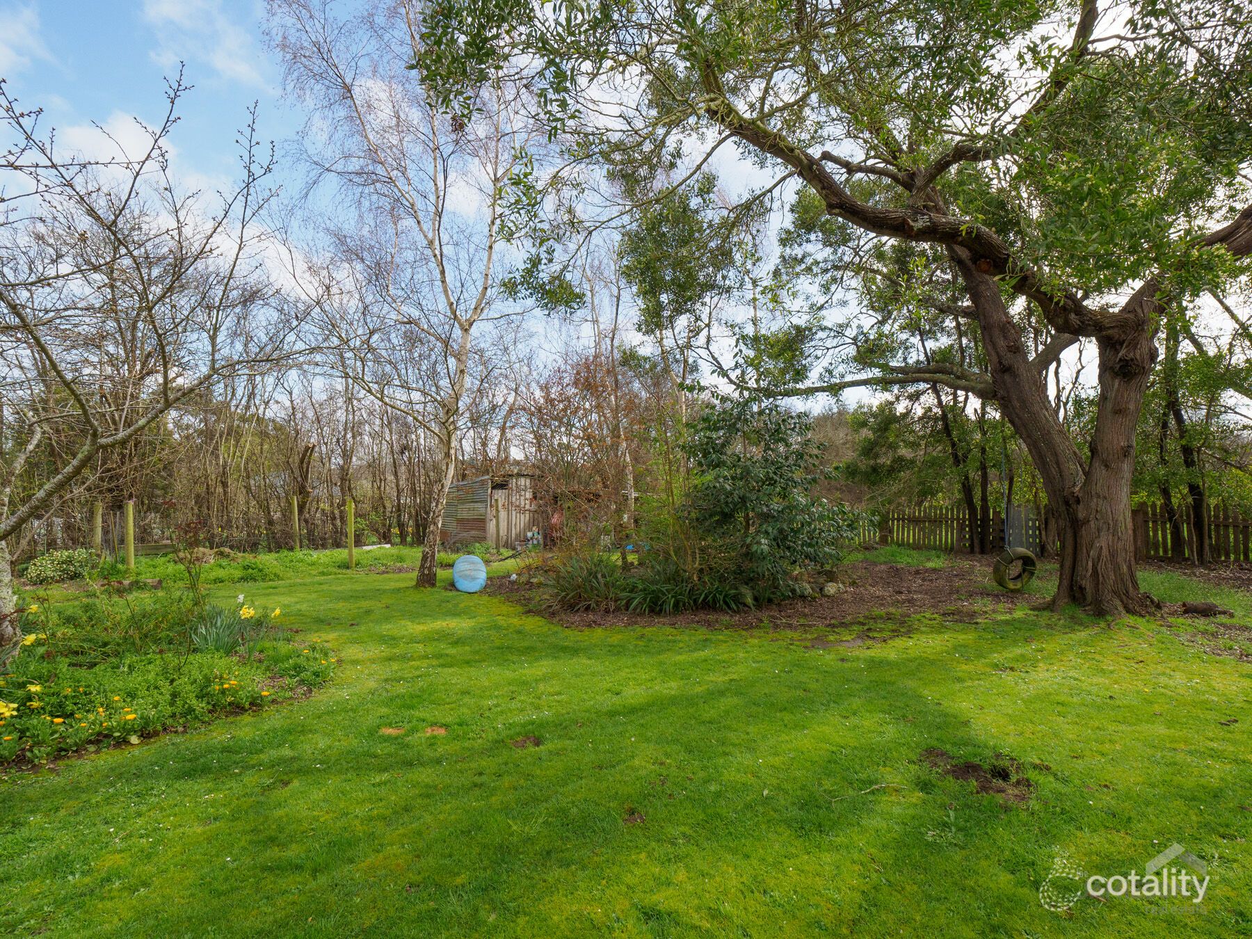 167 Dexter St, Westbury, TAS 7303