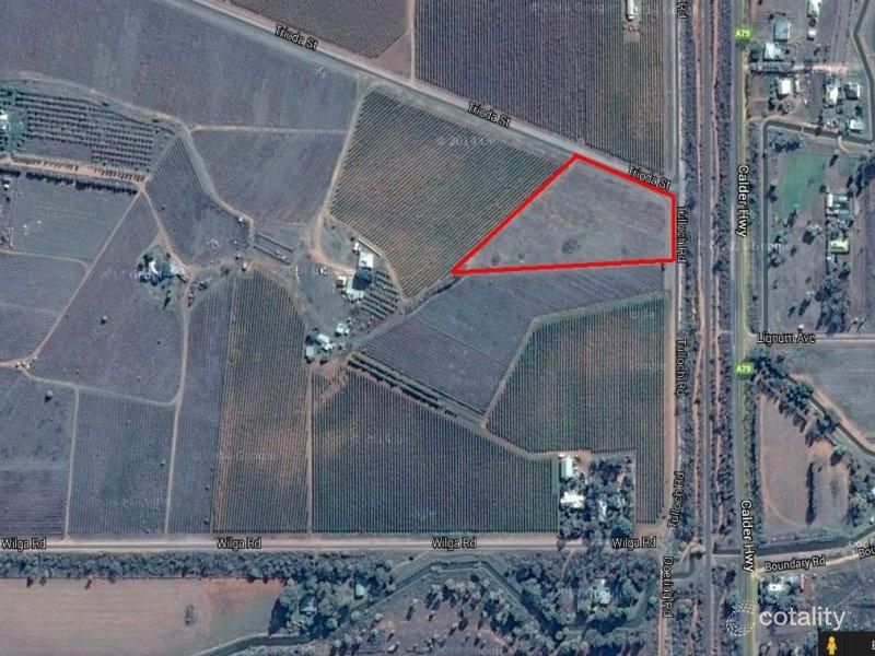 37 Trioda St, Red Cliffs, VIC 3496