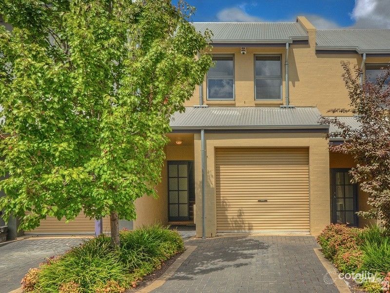 11/29 Edmund St, Norwood, SA 5067
