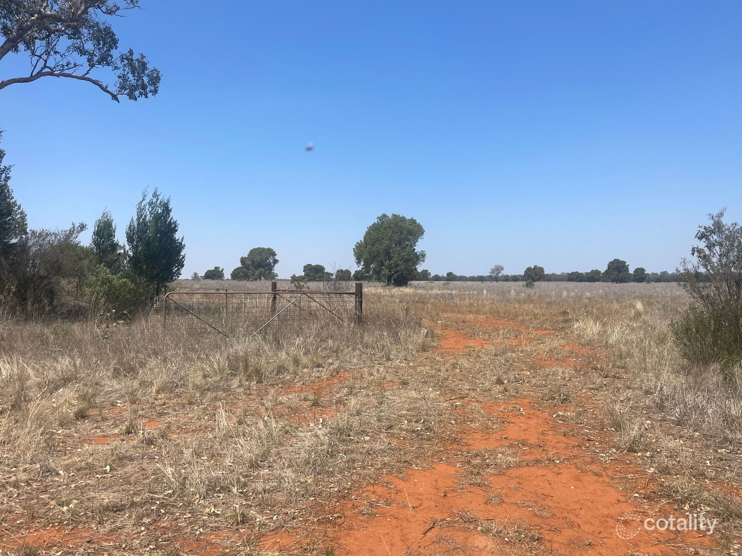 4721 Tabratong Crossing Rd, Tottenham, NSW 2873