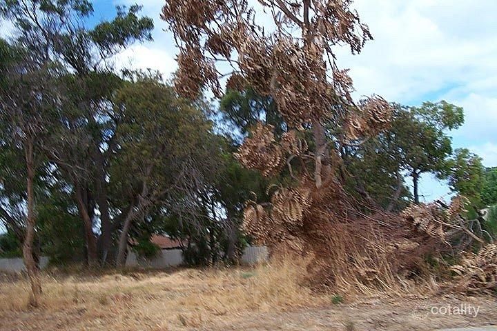 12 Elderberry Cir, Halls Head, WA 6210