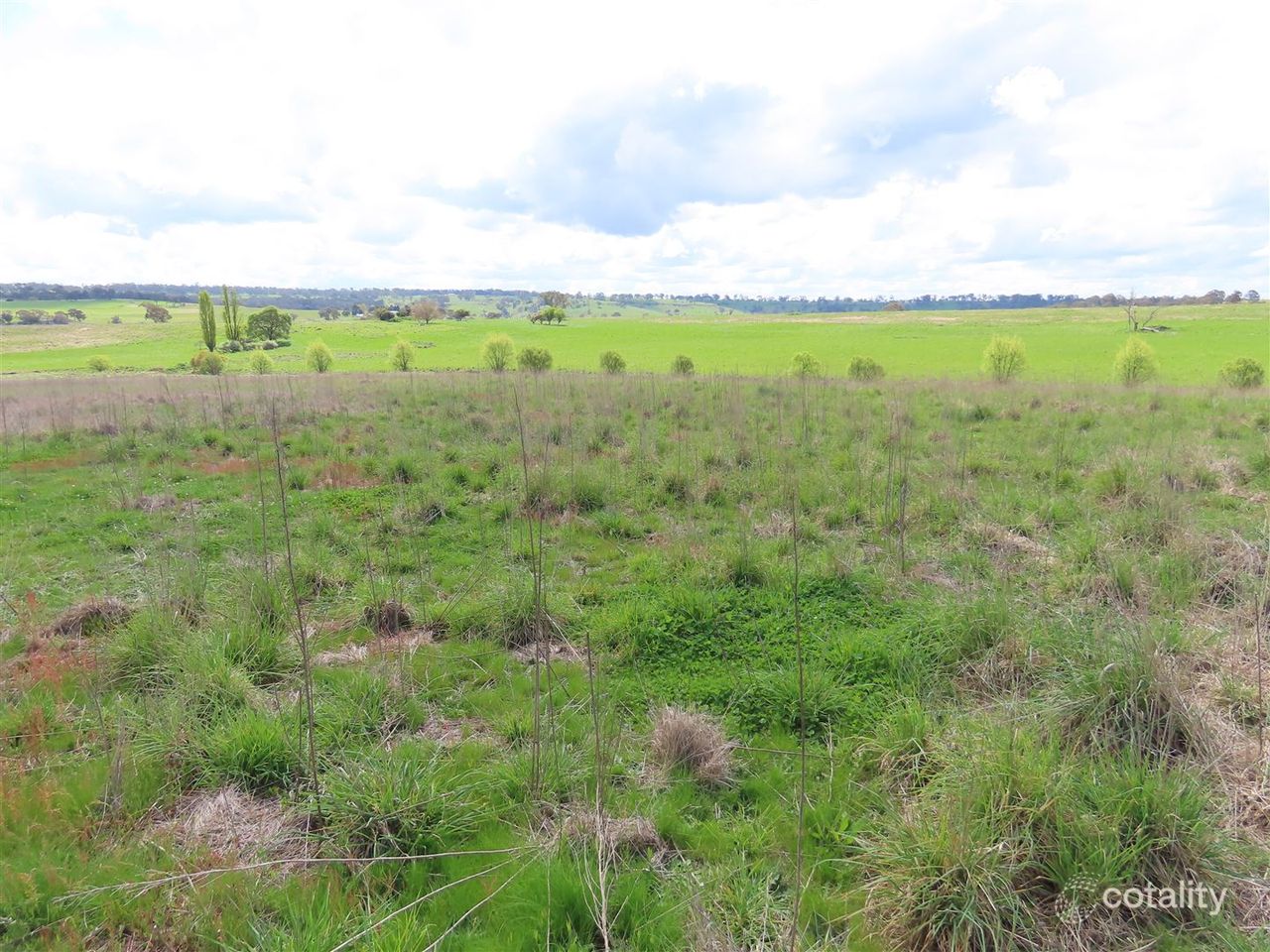 1325 Red Range Rd, Red Range, NSW 2370