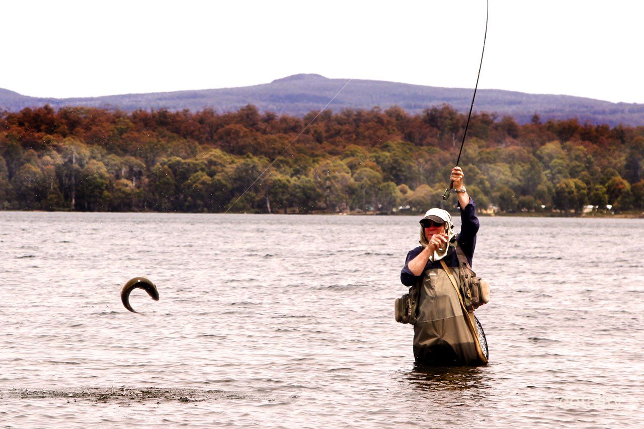 20/378 Marlborough Rd, Bronte Park, TAS 7140