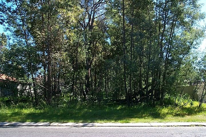 201 Atkinson St N, Collie, WA 6225