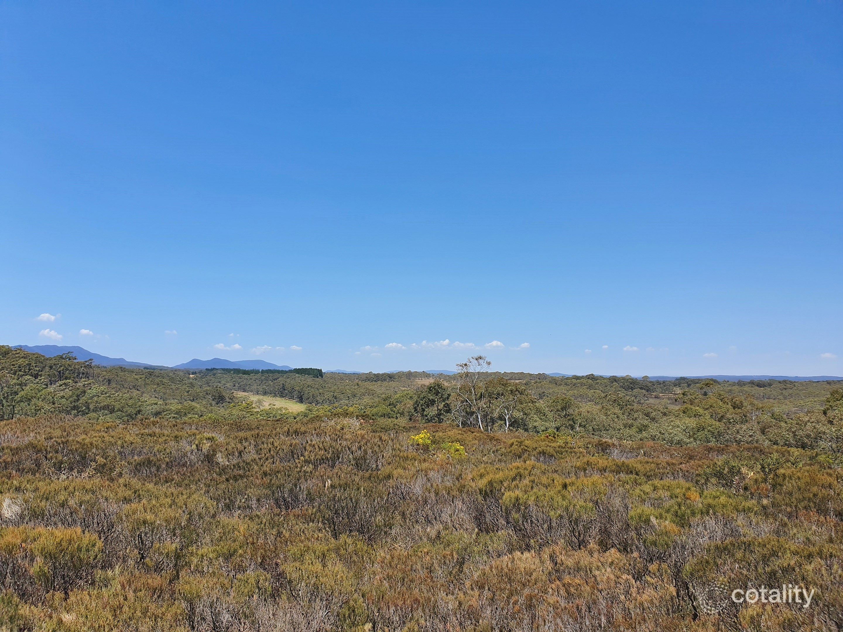 307 Quilty Rd, Wog Wog, NSW 2622