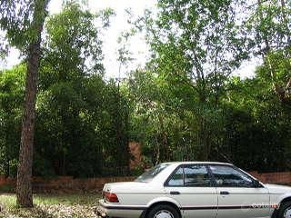 9 Richards Ave, Eastwood, NSW 2122