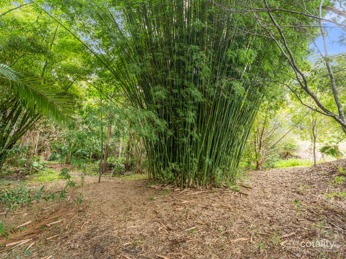 947 Reserve Creek Rd, Reserve Creek, NSW 2484