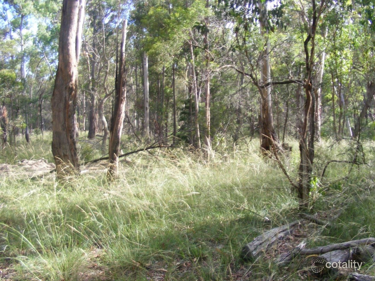 1000 Tablelands Rd, Red Range, NSW 2370