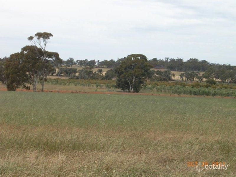 Thompson Rd, East Pingelly, WA 6308
