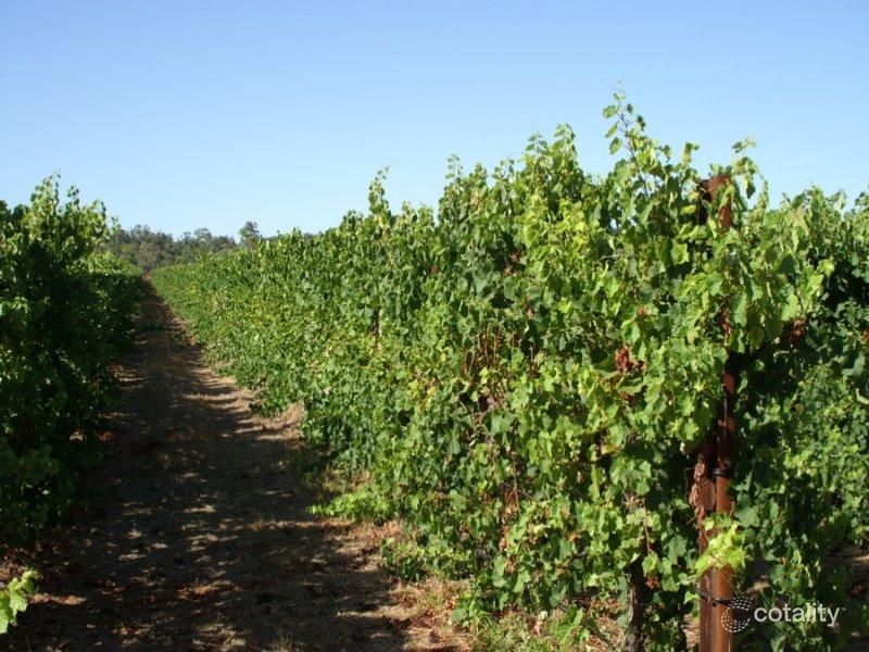 944 Gale Rd, Kaloorup, WA 6280