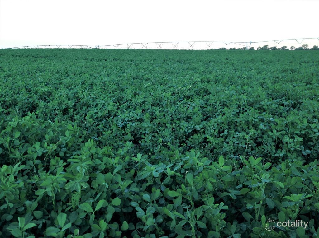 285 Broughton View Rd, Seventy Mile, QLD 4820